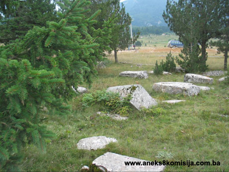 Nekropola sa stećcima Risovac, historijsko područje