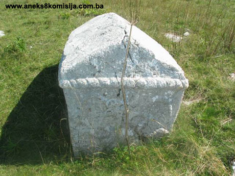 Nekropola sa stećcima Donje Bare, historijsko područje