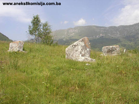 Nekropola sa stećcima Delijaš, historijsko područje