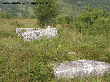 Nekropola sa stećcima Delijaš, historijsko područje