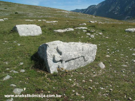 Praistorijsko naselje i srednjovjekovna nekropola sa stećcima Barzonja, arheološko područje