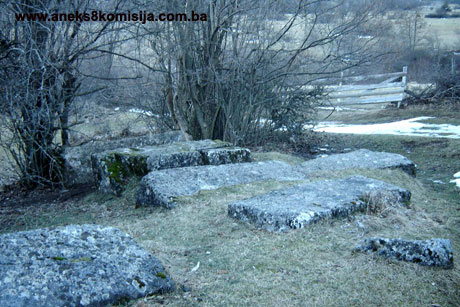Nekropola sa stećcima na lokalitetu Kaursko groblje u Borcima, historijsko područje