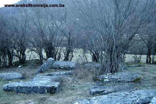 Nekropola sa stećcima na lokalitetu Kaursko groblje u Borcima, historijsko područje