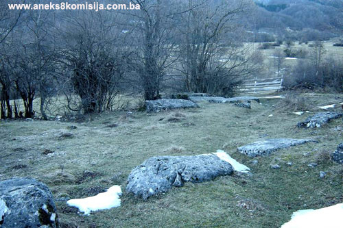 Nekropola sa stećcima na lokalitetu Kaursko groblje u Borcima, historijsko područje