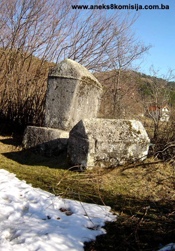 Nekropola sa stećcima na lokalitetu Kaursko groblje u Borcima, historijsko područje