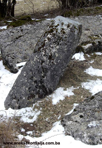 Nekropola sa stećcima na lokalitetu Kaursko groblje u Borcima, historijsko područje
