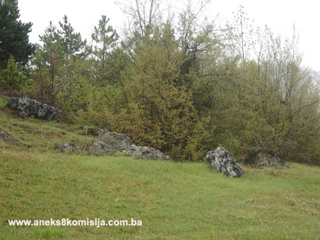 Nekropola sa stećcima na lokalitetima Kaursko groblje (Ciklice) i Brdo u Vrbljanima, historijsko područje