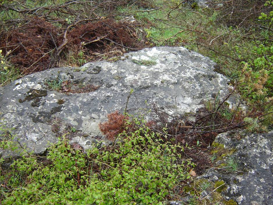 Nekropola sa stećcima na lokalitetima Kaursko groblje (Ciklice) i Brdo u Vrbljanima, historijsko područje