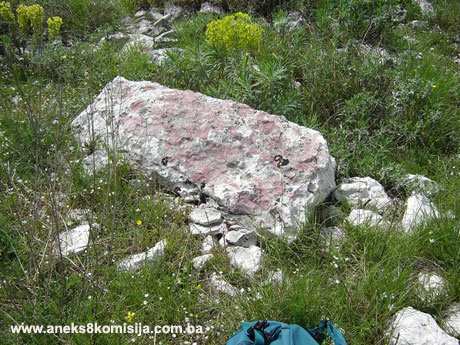 Gradina Varina gruda u Dživaru, arheološko područje