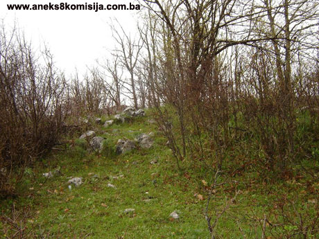 Prahistorijski tumuli u Moskom, arheološko područje