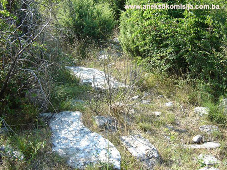 Nekropola sa stećcima na lokalitetu Crkvina u Hutovu, arheološko područje
