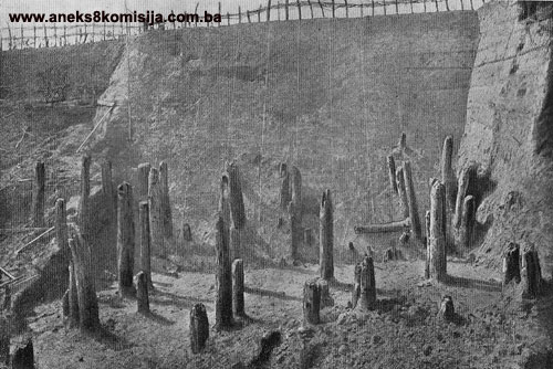 Prahistorijsko naselje Donja Dolina u selu Donja Dolina, arheološko područje