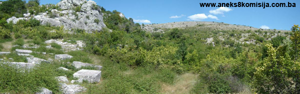 Nekropola sa stećcima Potkuk u Bitunji, historijsko područje