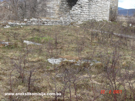 Ostaci srednjovjekovne crkve i nekropola sa stećcima na lokalitetu Crkvina u Koluniću, arheološko područje