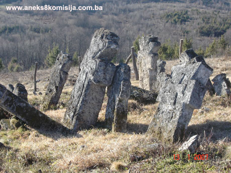 Nekropola sa stećcima u zaseoku Moconje (u Gornjem Šljivnu) i Pravoslavno groblje na Stražbenici, selo Šljivno na Dobrinji, historijsko područje