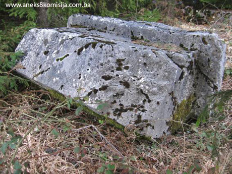 Nekropola sa stećcima na lokalitetu 'Mramorje' u selu Moguš, historijsko područje