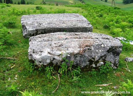 Nekropole sa stećcima, nišanima, obeliskom i ostacima ckve sv. Roka u Bakićima Donjim, prirodno i historijsko područje
