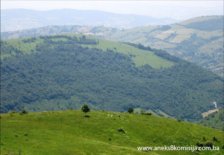 Nekropole sa stećcima i nišanima Grčko groblje/Svatovsko groblje (Greblje) u selu Donji Močioci, općina Stari Grad, prirodno i historijsko područje