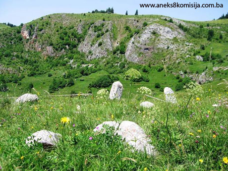 Nekropole sa stećcima i nišanima Grčko groblje/Svatovsko groblje (Greblje) u selu Donji Močioci, općina Stari Grad, prirodno i historijsko područje