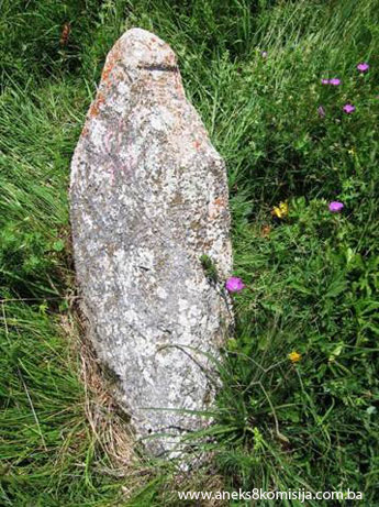 Nekropole sa stećcima i nišanima Grčko groblje/Svatovsko groblje (Greblje) u selu Donji Močioci, općina Stari Grad, prirodno i historijsko područje