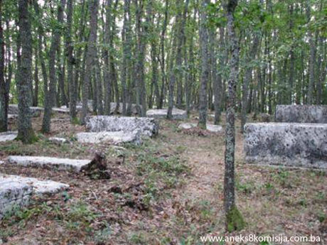 Nekropola sa stećcima Borak (Han-stjenički plato), selo Burati, povijesno područje