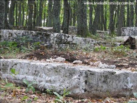 Nekropola sa stećcima Borak (Han-stjenički plato), selo Burati, povijesno područje