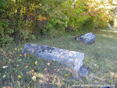 Nekropole sa stećcima i starim nišanima u naselju Budoželje, historijsko područje