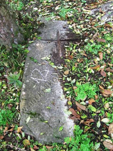 Prahistorijska gradina, kasnoantička utvrda – refugij, ostaci kasnoantičke crkve posvećene sv. Luciji i nekropole sa stećcima u Podastinju, spomenička cjelina i historijsko područje
