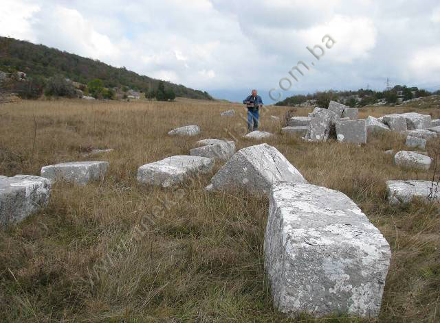 Prahistorijski tumulus i nekropola sa stećcima na lokalitetu Dabića (Velika) poljana, na obroncima planine Bahtijevice, historijsko područje