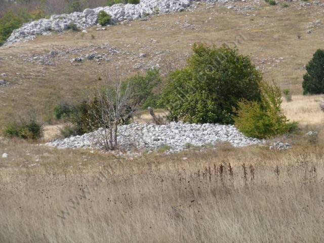 Prahistorijski tumulus i nekropola sa stećcima na lokalitetu Dabića (Velika) poljana, na obroncima planine Bahtijevice, historijsko područje