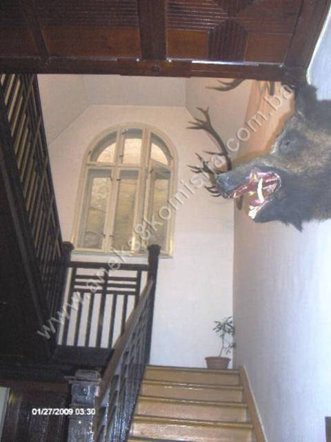 Kompleks vila iz austrougarskog perioda u Petrakijinoj ulici (Vila Mandić, vila Heinricha Reitera, vila Hermine Radisch i vila Forstratha Miklaua), graditeljska cjelina
