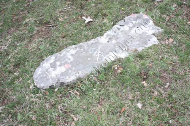Nekropole sa stećcima, starim nišanima i ostaci srednjovjekovne građevine na lokalitetu Dolovi, selo Umoljani, prirodno i historijsko područje
