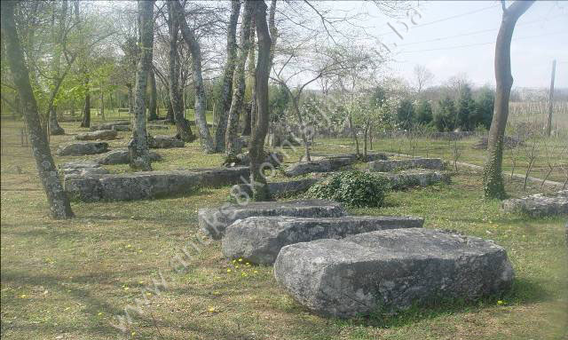 Nekropola sa stećcima Šarapovlje (Vitina) u Kruševu, historijsko područje