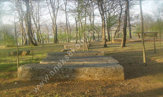 Nekropola sa stećcima Šarapovlje (Vitina) u Kruševu, historijsko područje