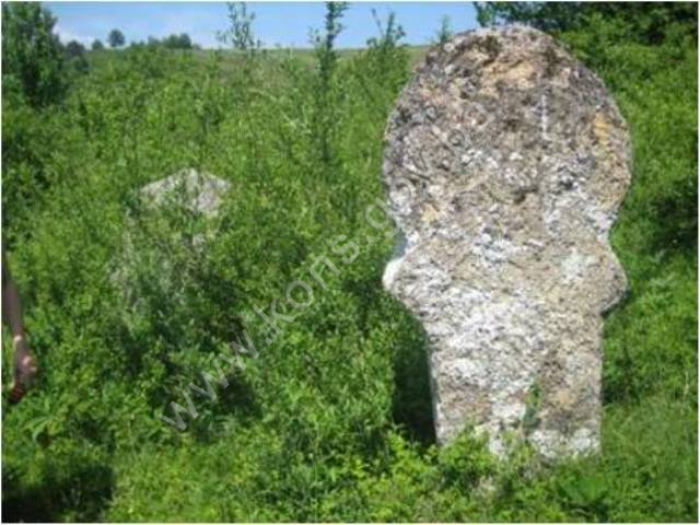 Nekropola kod sela Orašac, historijsko područje