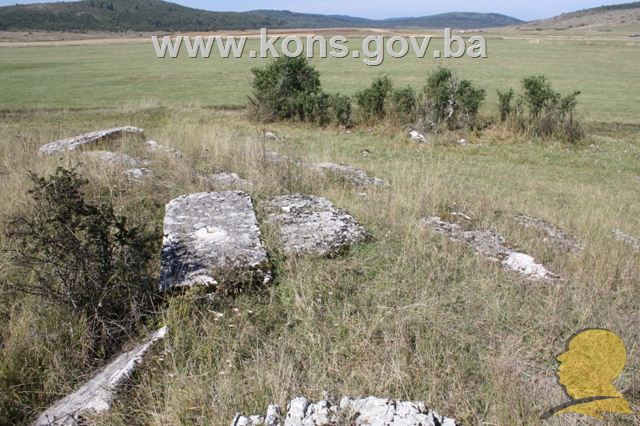 Prahistorijski tumulusi i nekropole sa stećcima u Luburića polju, historijsko područje