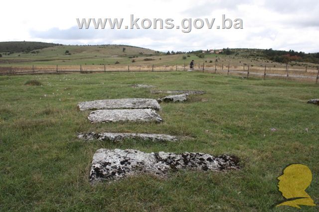 Prahistorijski tumulusi i nekropole sa stećcima u Luburića polju, historijsko područje