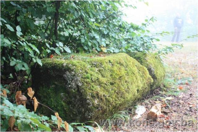 Nekropola sa stećcima na lokalitetu Brdo (Križ) u Deževicama, historijsko područje
