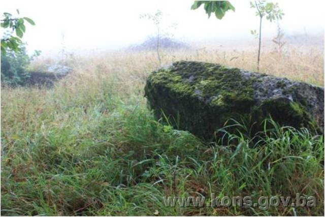 Nekropola sa stećcima na lokalitetu Brdo (Križ) u Deževicama, historijsko područje