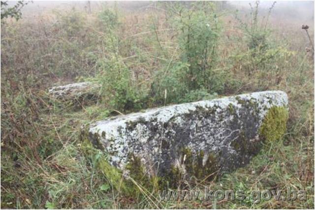 Nekropola sa stećcima na lokalitetu Brdo (Križ) u Deževicama, historijsko područje