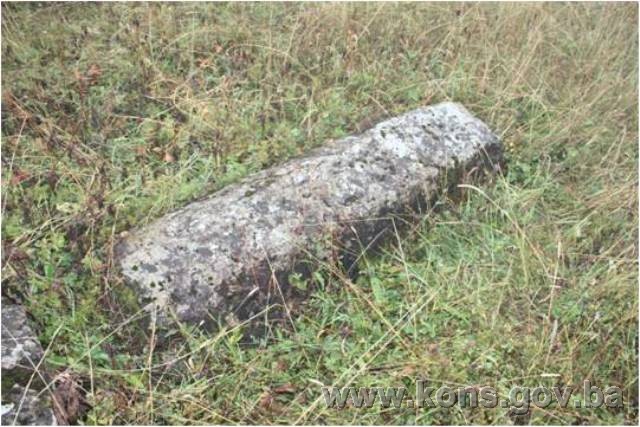 Nekropola sa stećcima na lokalitetu Brdo (Križ) u Deževicama, historijsko područje