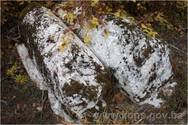 Prahistorijski tumulus i nekropola sa stećcima na lokalitetu Mramorje u zaseoku Raonići, Kaoštice, historijsko područje