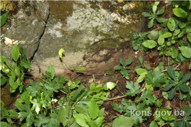 Gradac, historijsko područje