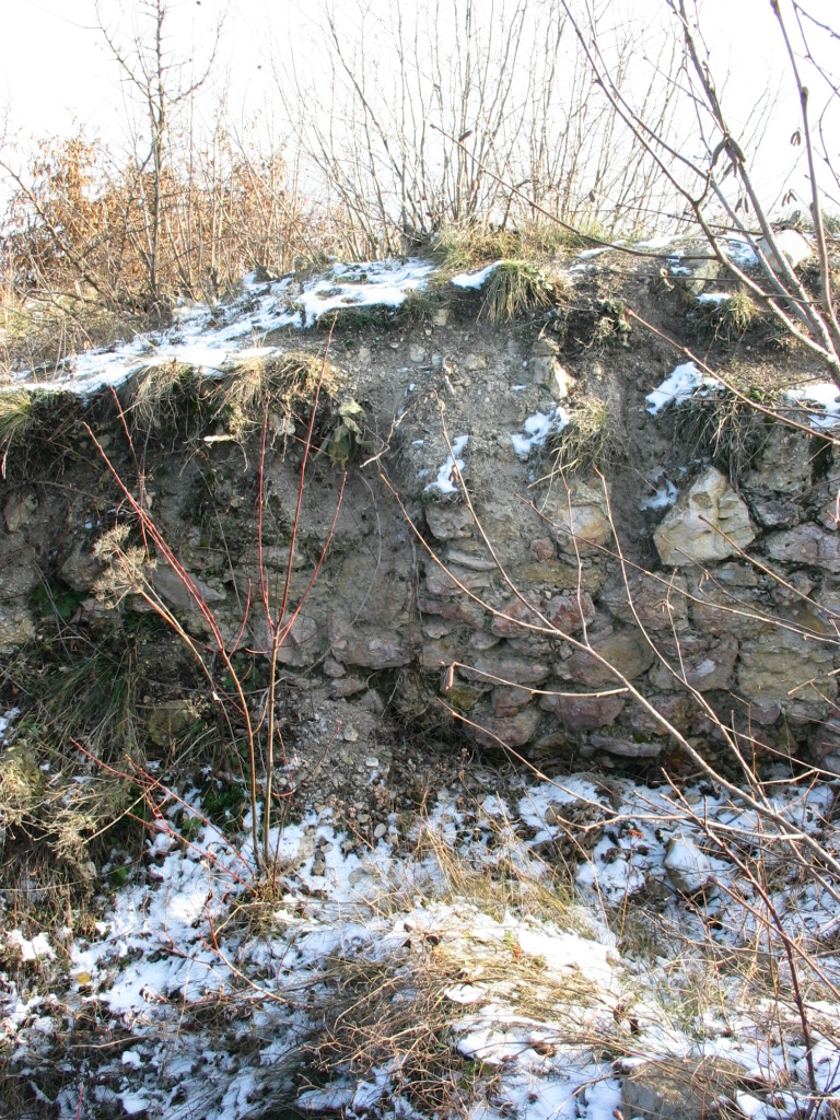 Stari grad Visoki, historijsko područje