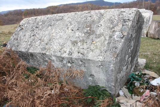 Nekropola sa stećcima Trnovo 1, historijsko područje