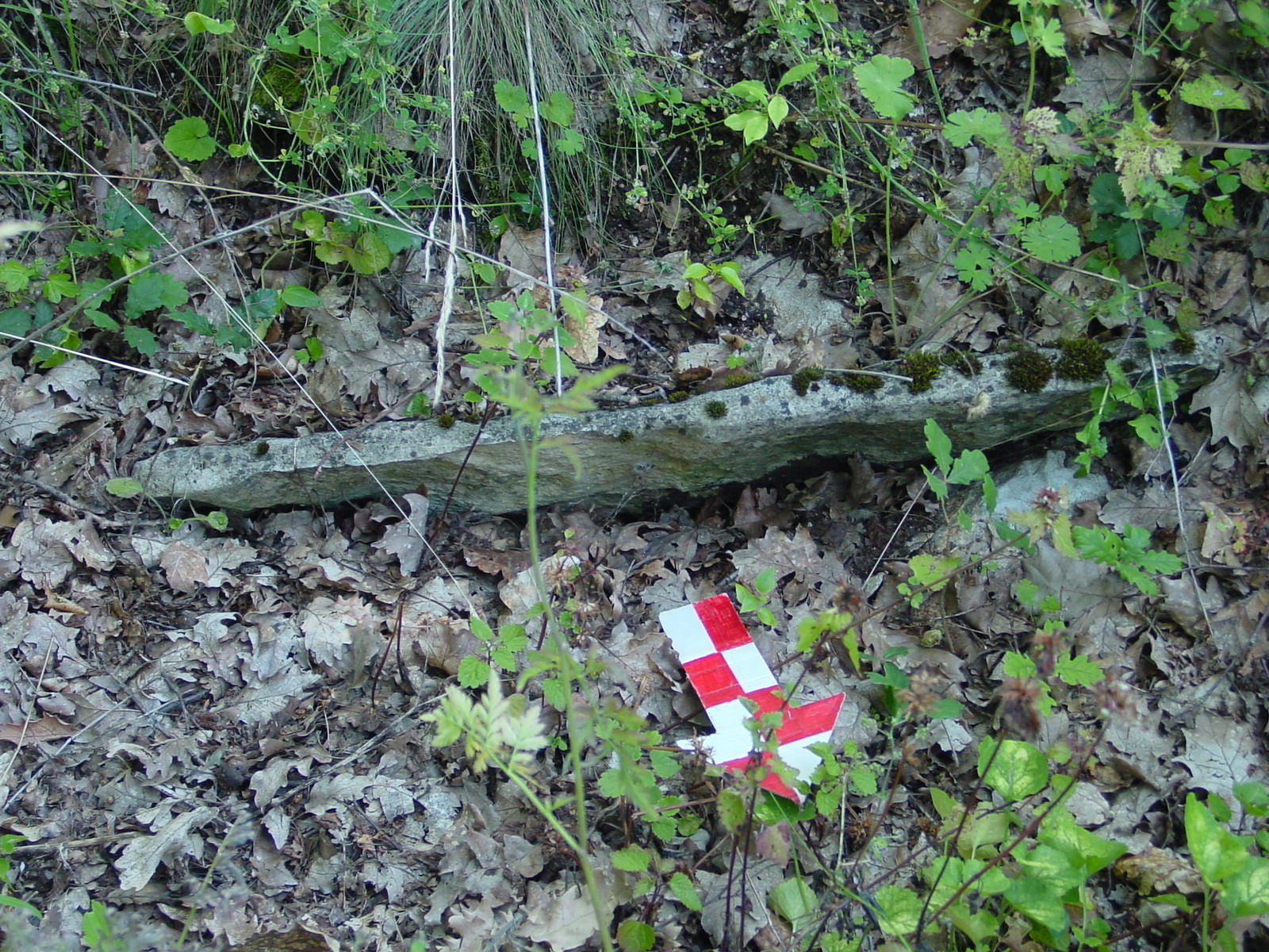 Crkvina (Ledenica) sa pokretnim nalazima u Potočanima, arheološko područje