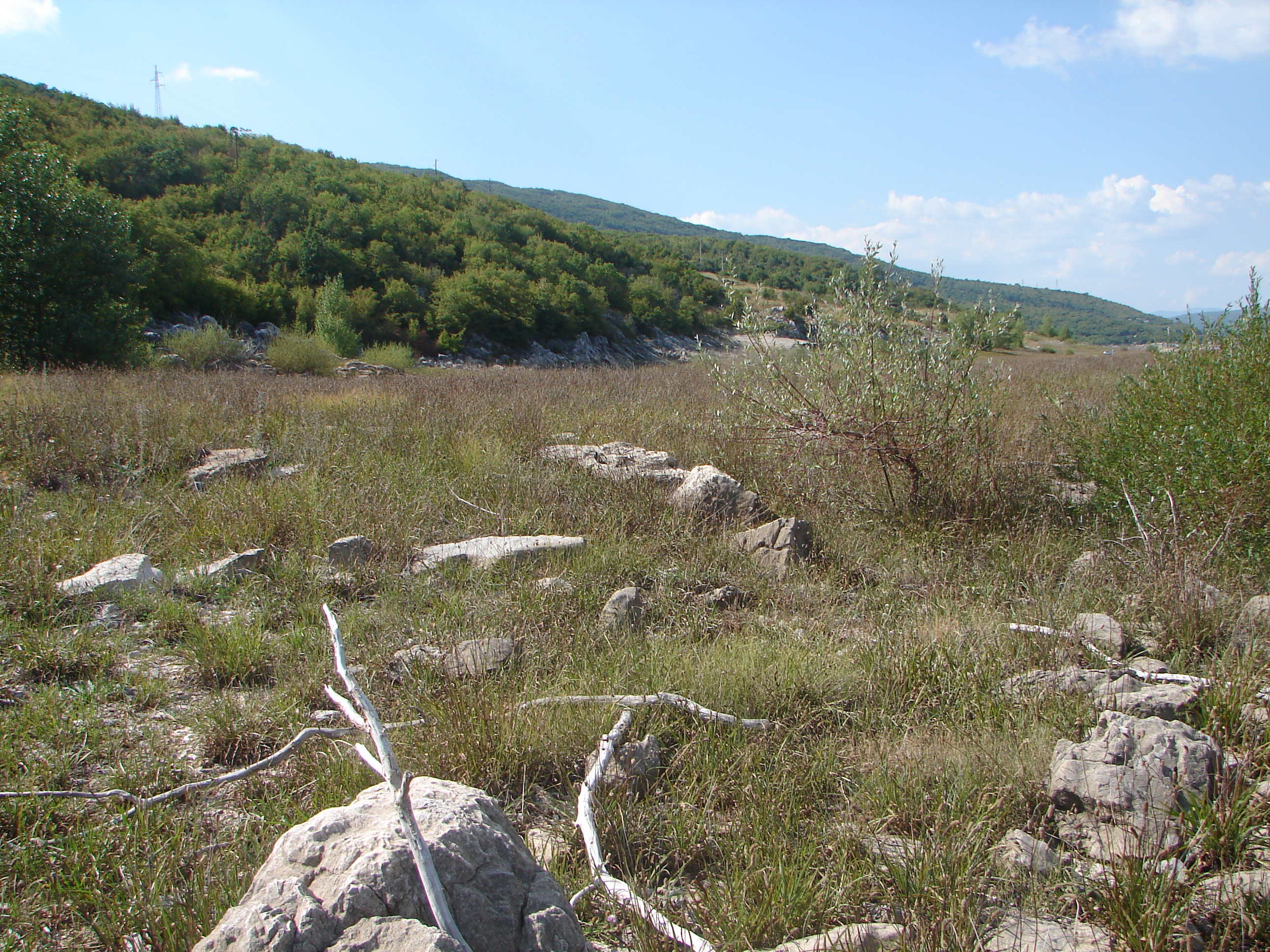 Rešetarica, arheološko područje s ostacima ranokršćanske bazilike, dvije nekropole i pokretnim naslijeđem