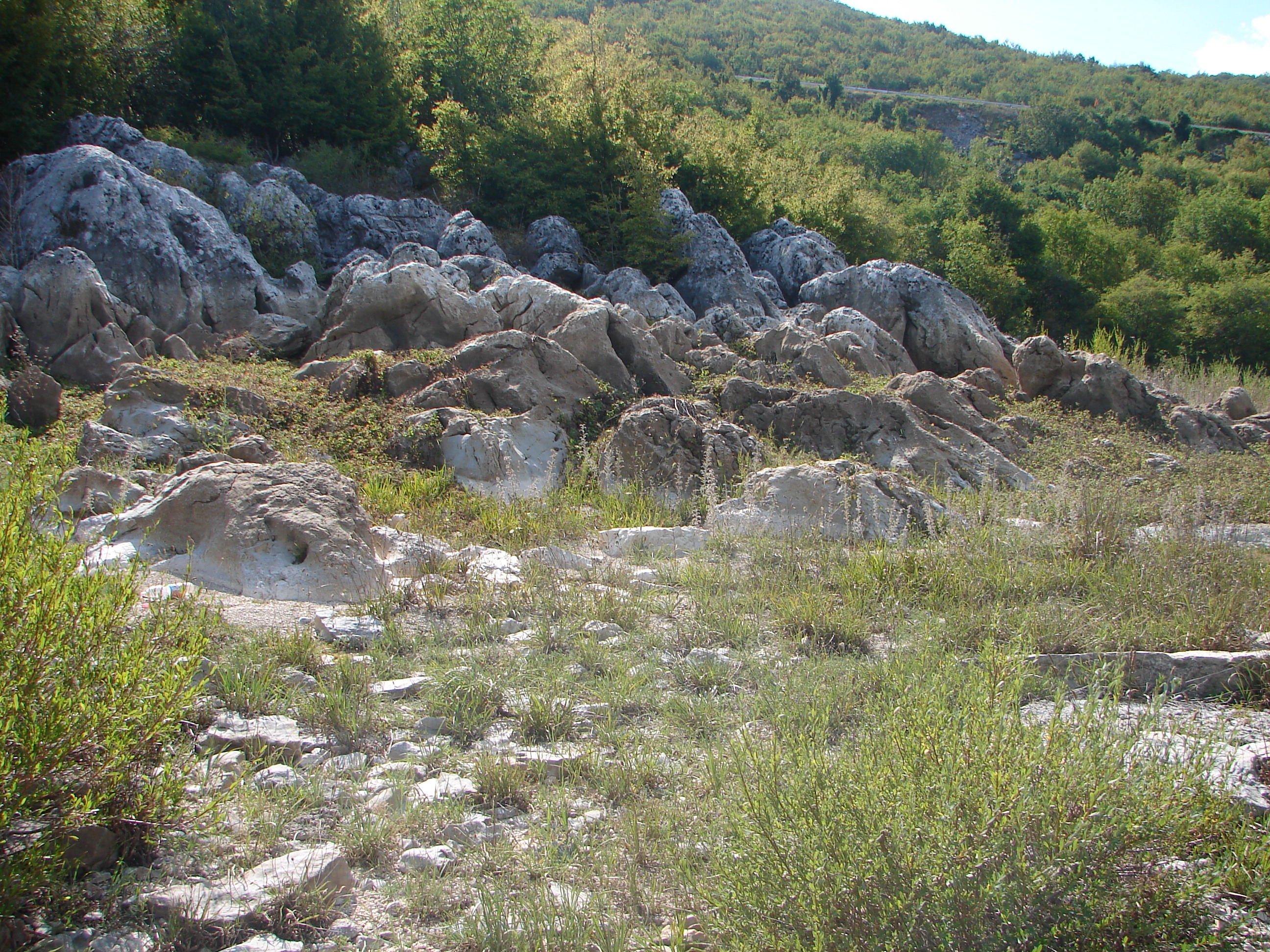 Rešetarica, arheološko područje s ostacima ranokršćanske bazilike, dvije nekropole i pokretnim naslijeđem
